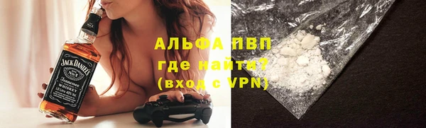 прущие крисы Бородино
