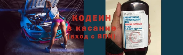 прущие крисы Бородино