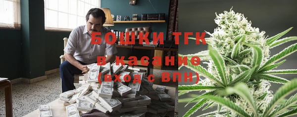 прущие крисы Бородино