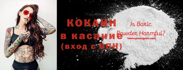 прущие крисы Бородино